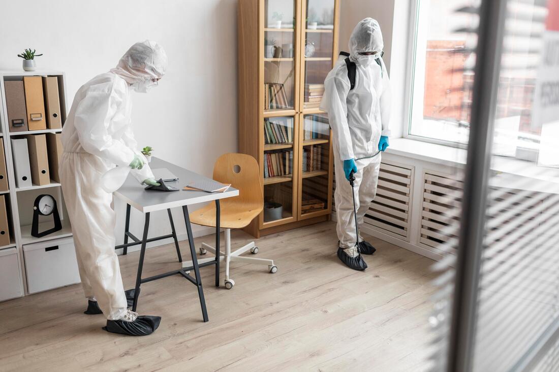 Fumigadores colocan insecticidas en la sala de una casa o departamento
